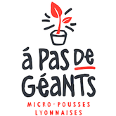 Logo A Pas de Géants