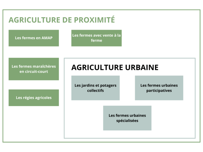 Ferme urbaine : tous les projets de Cultures en Ville