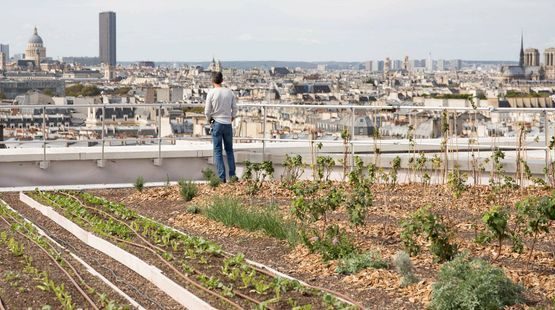 Grand-Paris-de-nouvelles-fermes-poussent-en-milieu-urbain